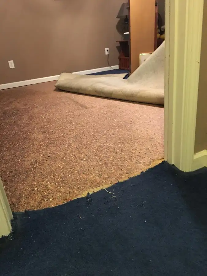 Carpet pad removal revealing water damage during Water Mitigation Services in Claymont