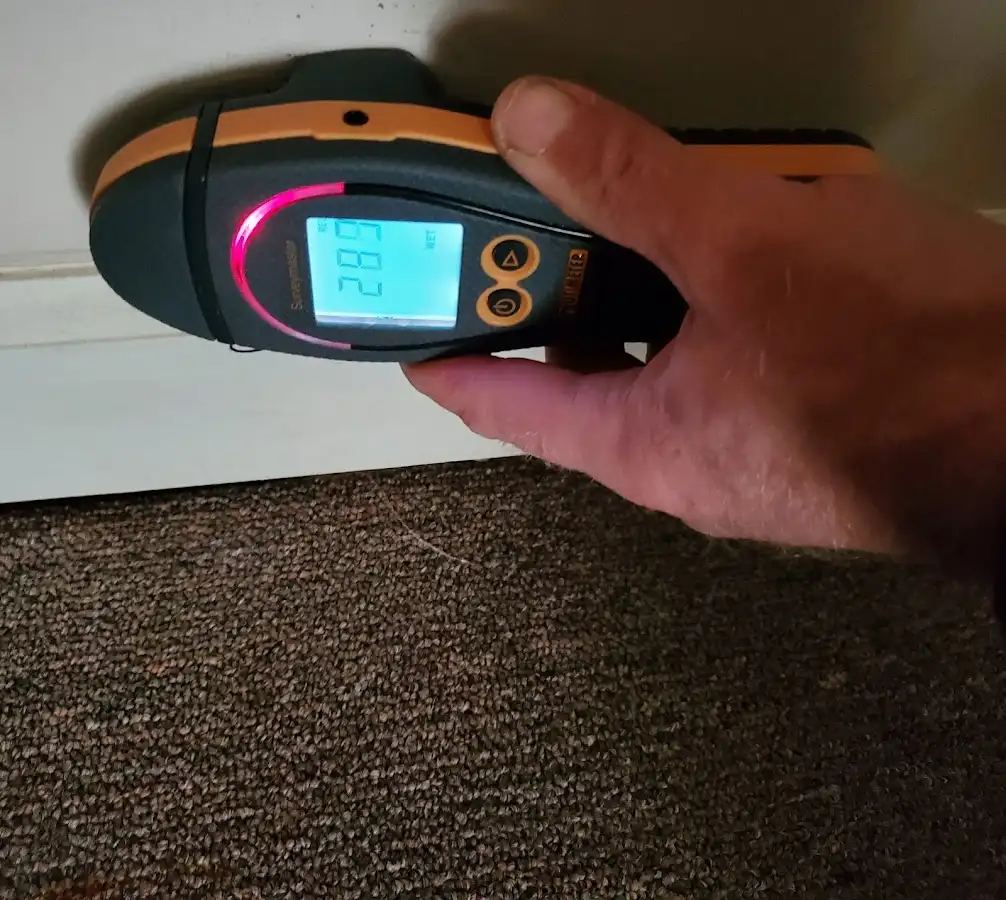 Moisture detection at baseboard during Sewage Cleanup & Sanitation in Claymont